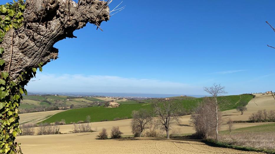 casale / rustico casa colonica