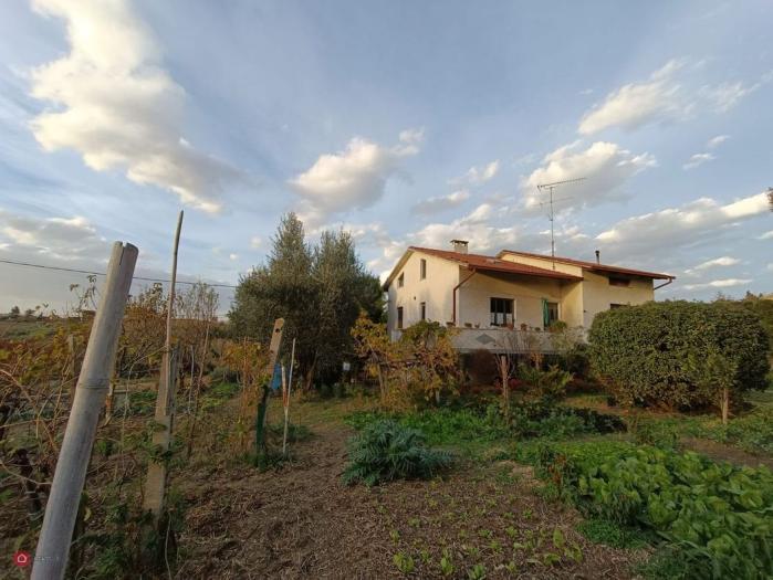 immagine annuncio 1 di 9
