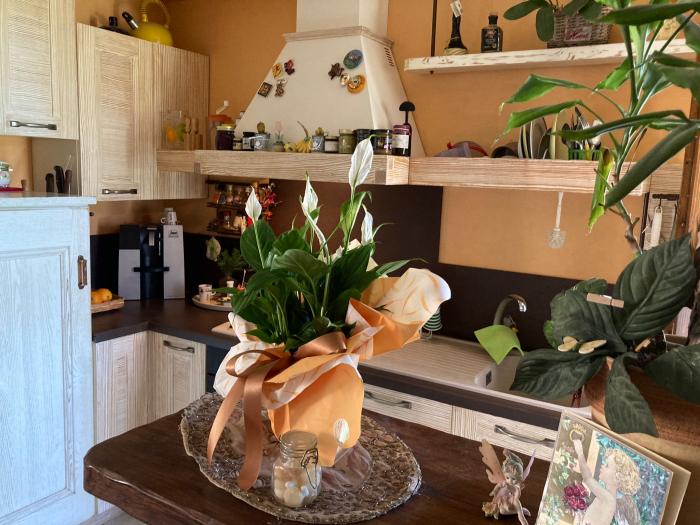 Vendita Mondolfo - Mq. 110 Bagni.2 Locali.4 - euro 190000