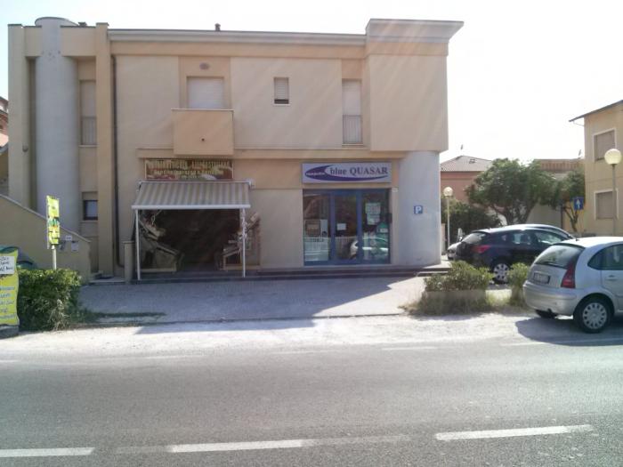 attivita' / licenza commerciale