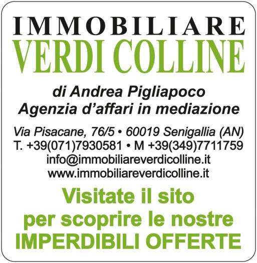 immagine annuncio 5 di 6