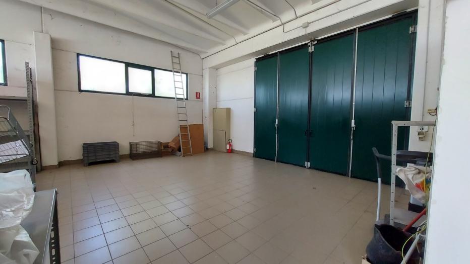 immagine annuncio 1 di 3