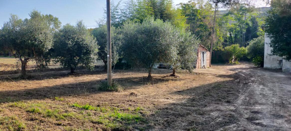 immagine annuncio 2 di 9