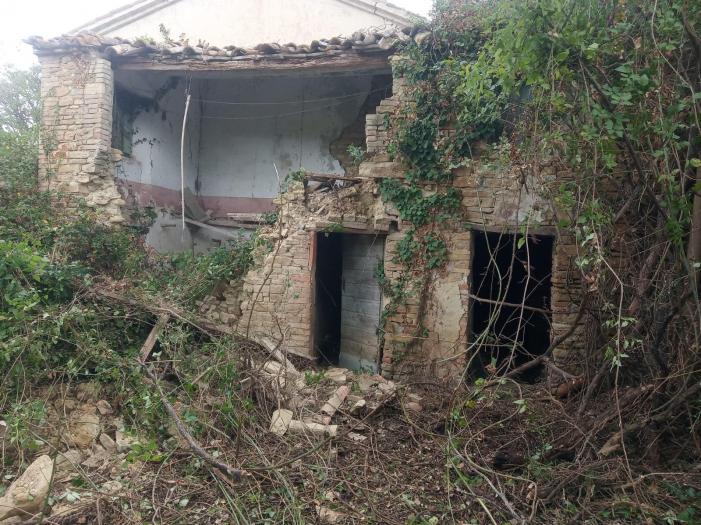 immagine annuncio 3 di 9