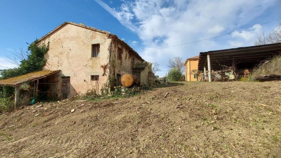 immagine annuncio 4 di 9