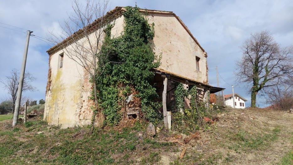 immagine annuncio 7 di 9