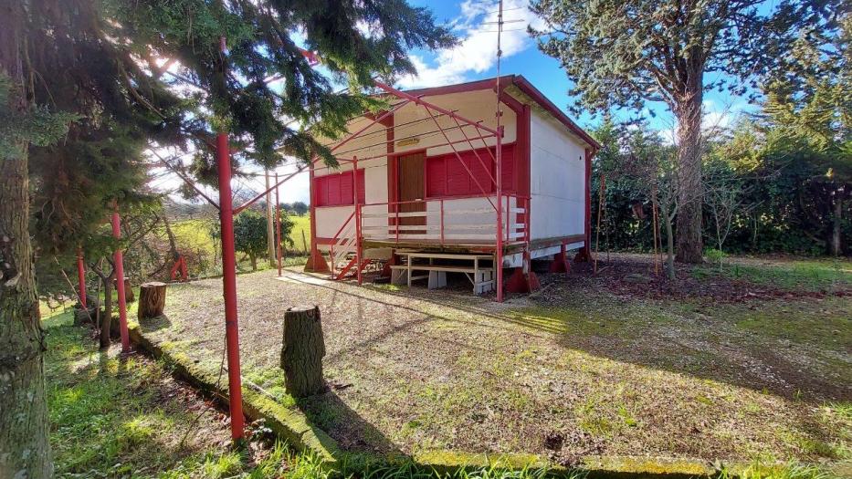 Vendita Ostra  - Mq. 40 Bagni.1 Locali.2 - euro 55000