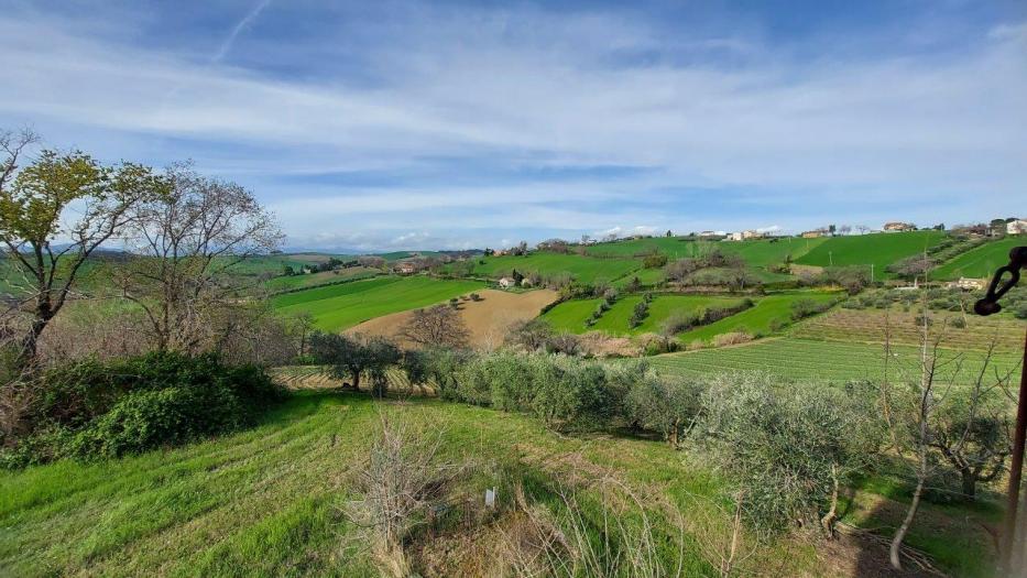 immagine annuncio 1 di 9