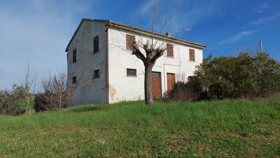 immagine annuncio 2 di 9