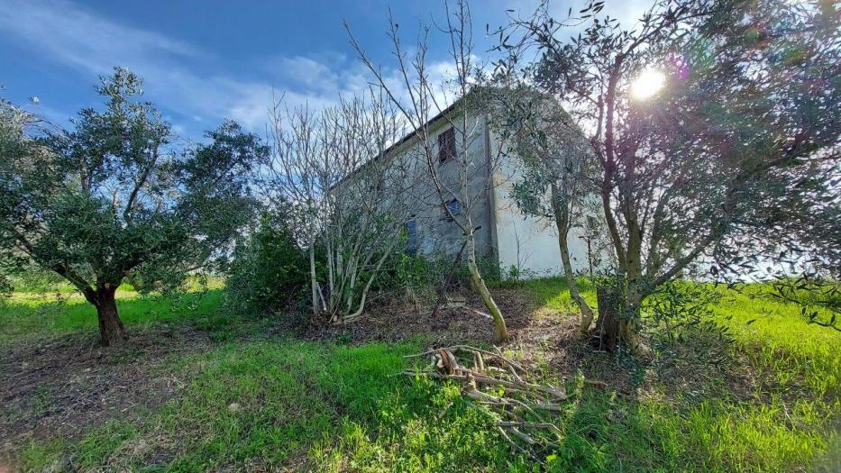 immagine annuncio 3 di 9