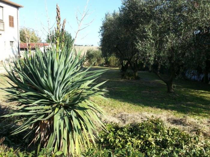 casale / rustico