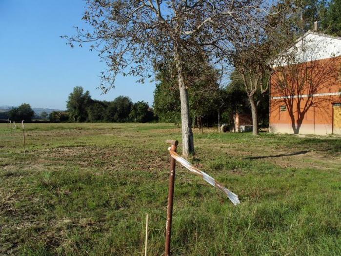 casale / rustico