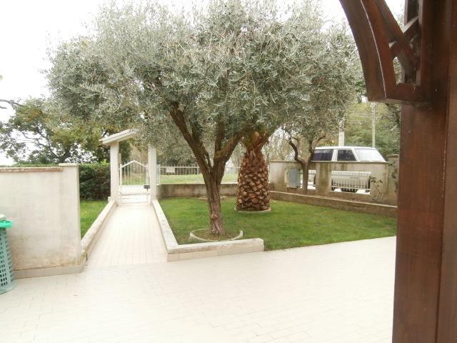 casa indipendente