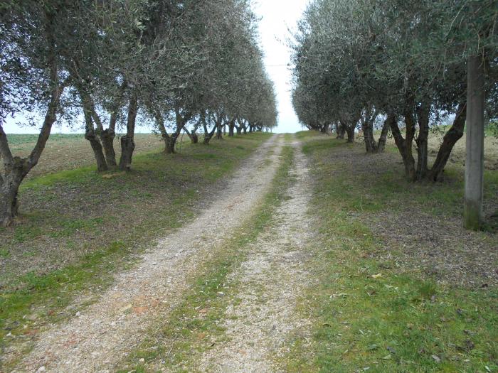 casale / rustico