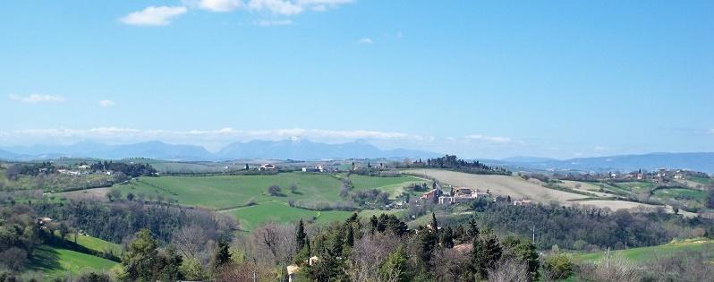 appartamento trilocale