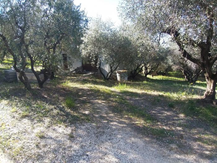 casale / rustico