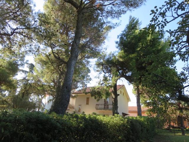 casa indipendente