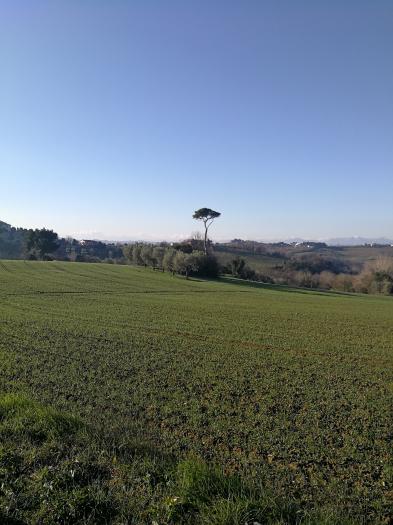casale / rustico casa colonica
