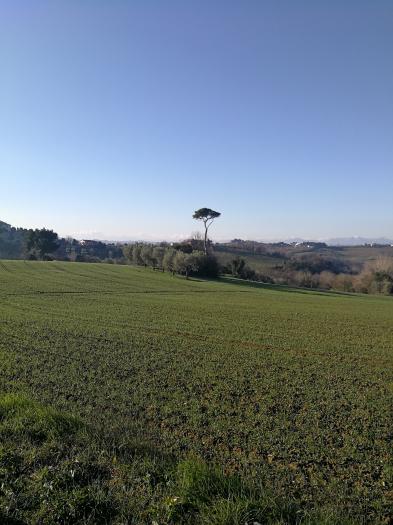 casale / rustico casa colonica