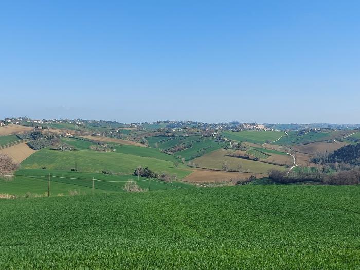 immagine annuncio 5 di 9