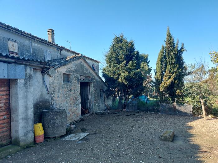 immagine annuncio 6 di 9