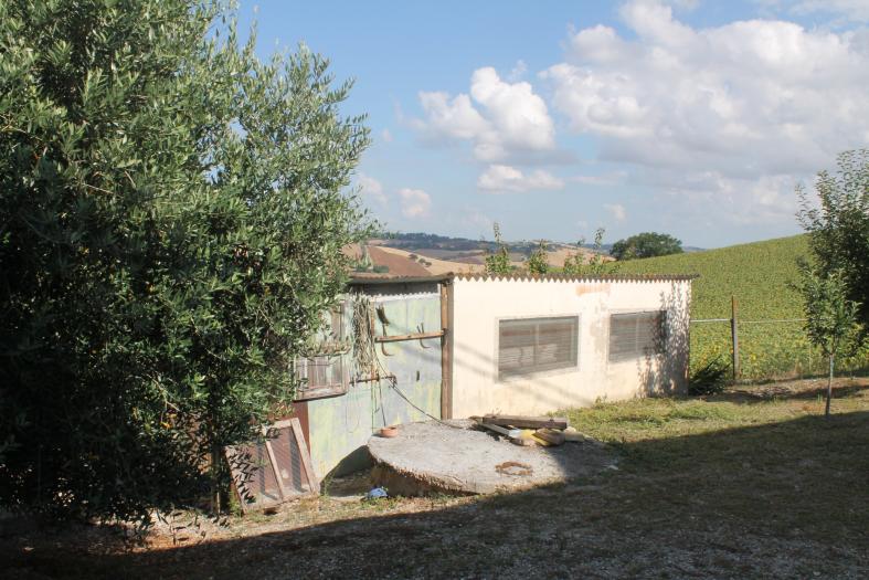 immagine annuncio 7 di 9