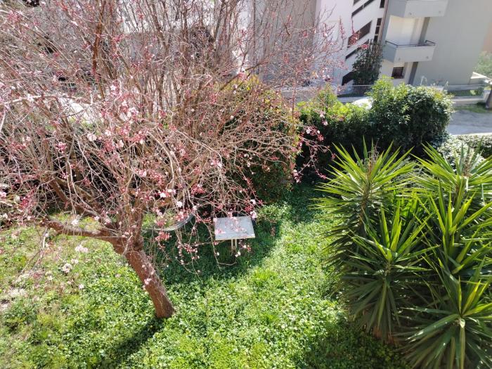 villa / abitazione singola