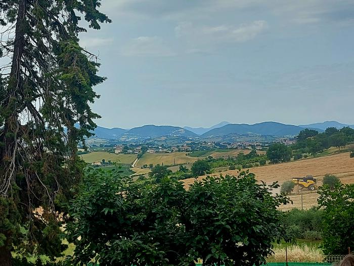 immagine annuncio 5 di 6
