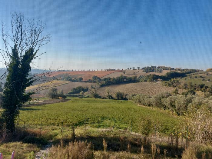 immagine annuncio 5 di 9