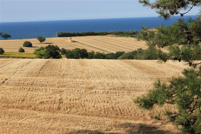 casale / rustico