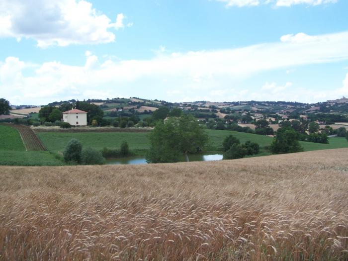 casale / rustico