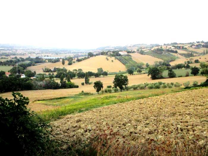 casa indipendente