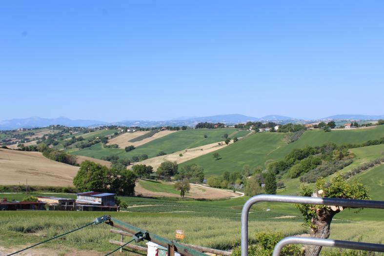 appartamento trilocale