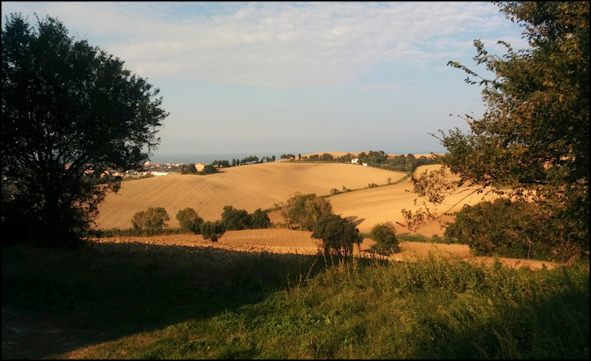 casale / rustico
