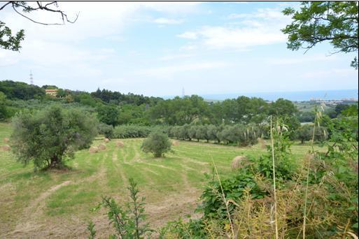 casale / rustico