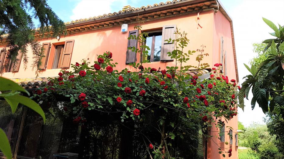 casa indipendente