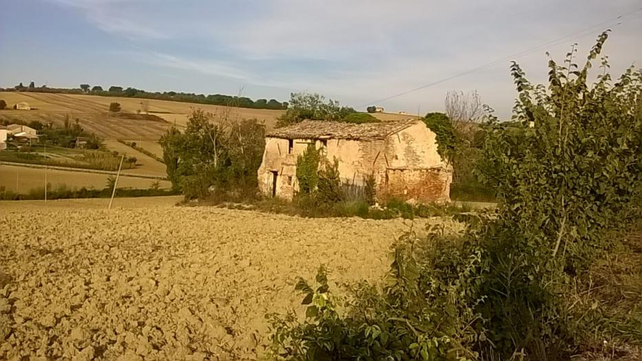 casale / rustico