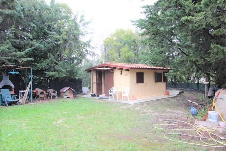 terreno agricolo