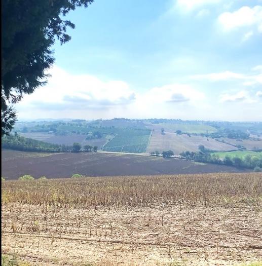 terreno