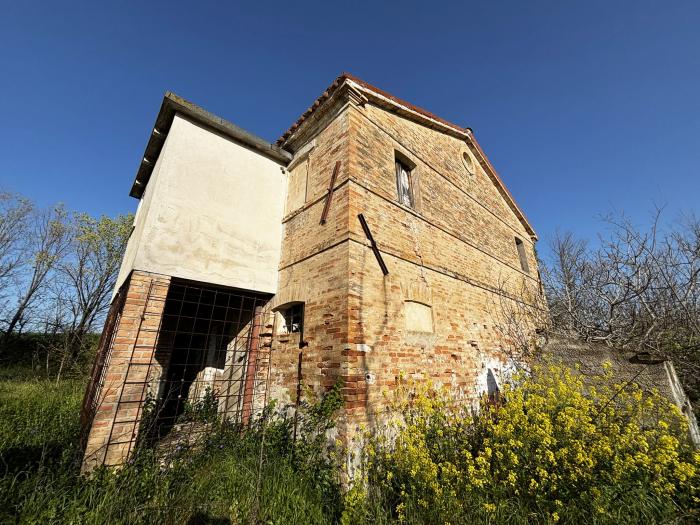 immagine annuncio 2 di 8