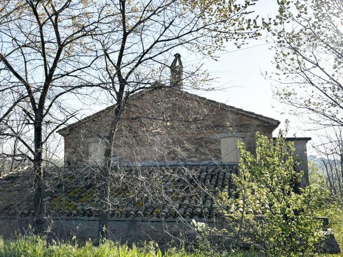 immagine annuncio 6 di 8