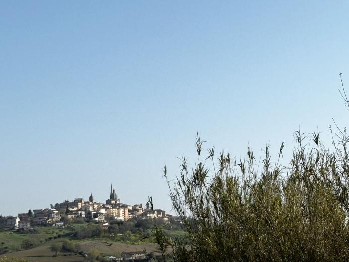 immagine annuncio 7 di 8