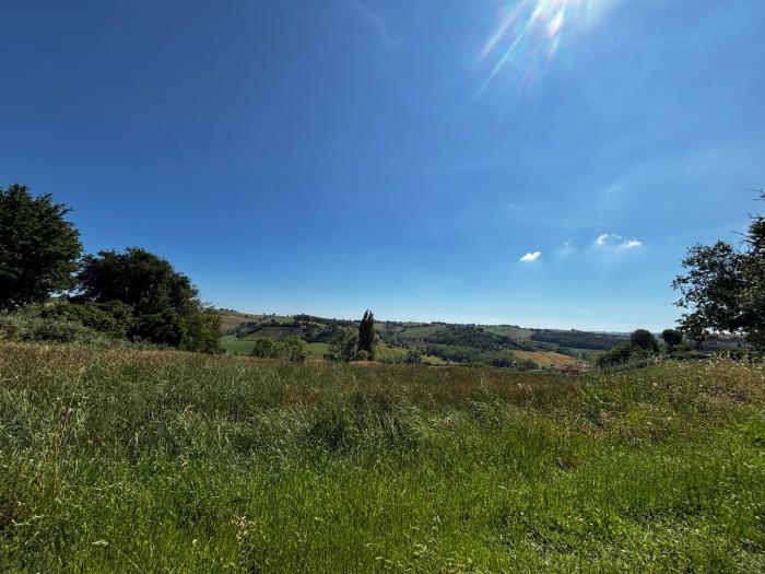 terreno agricolo