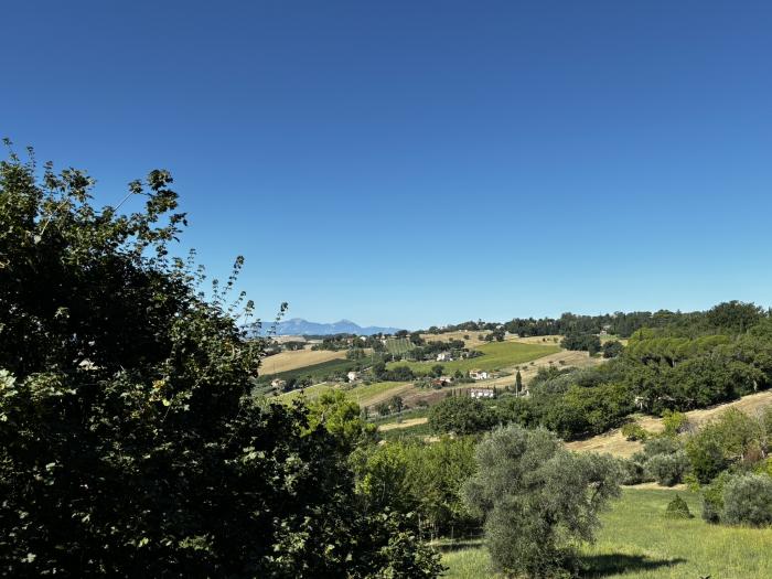 immagine annuncio 7 di 8