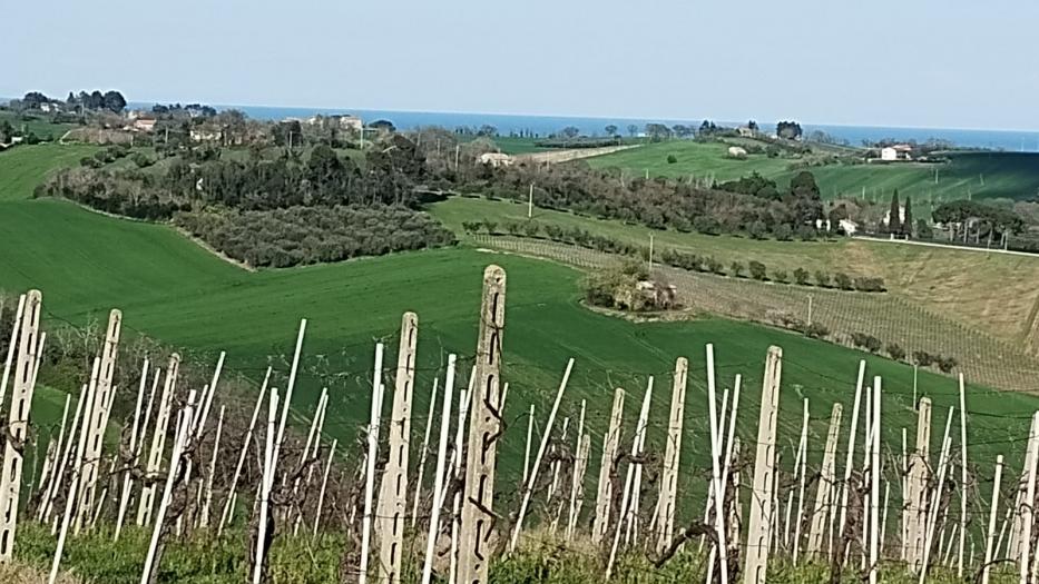 immagine annuncio 8 di 9