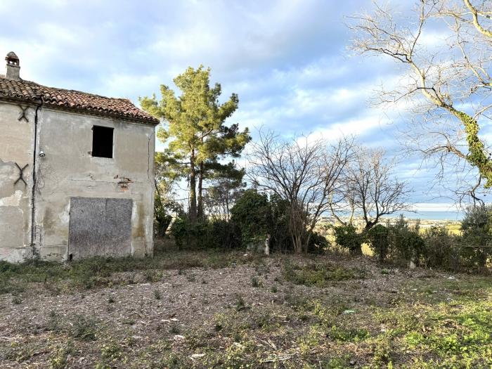 immagine annuncio 3 di 9