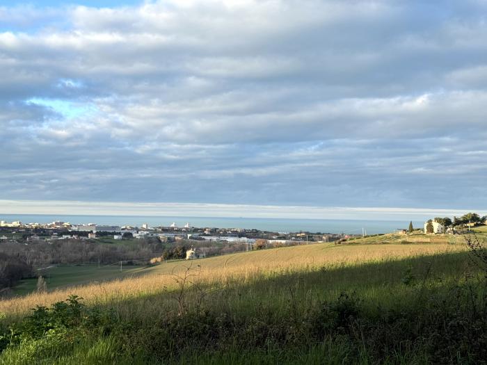 immagine annuncio 4 di 9