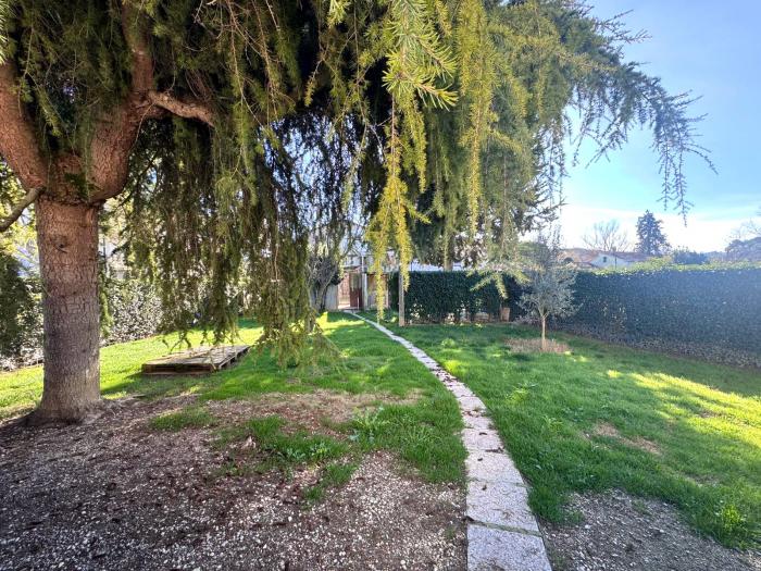 immagine annuncio 4 di 8