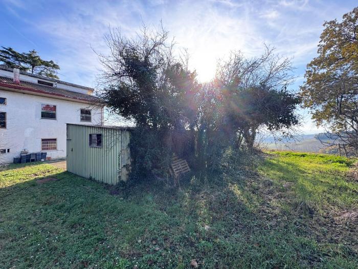 immagine annuncio 6 di 8