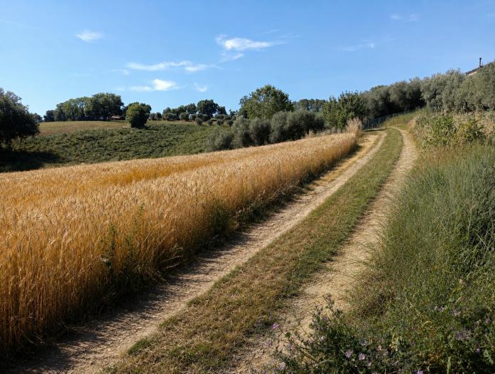 immagine annuncio 6 di 9
